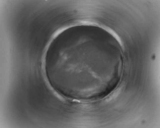 X0000103311381200809191908