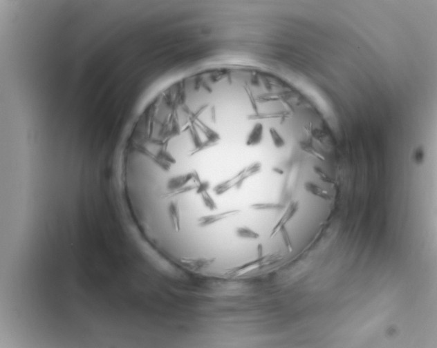 X0000103311382200809191908