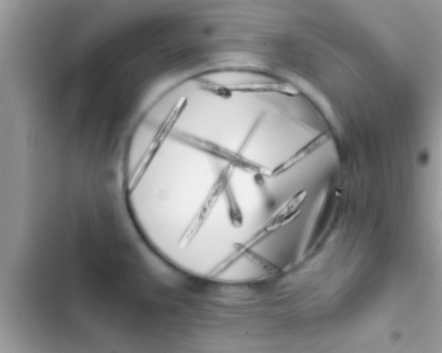 X0000103311383200809191908