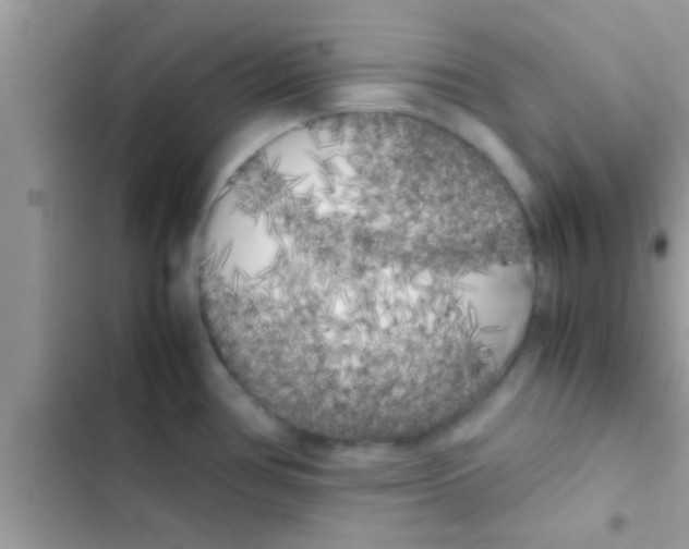 X0000103311386200809191908