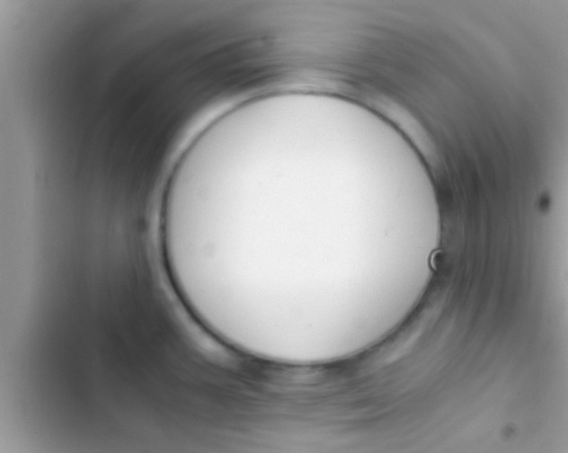 X0000103311387200809191908