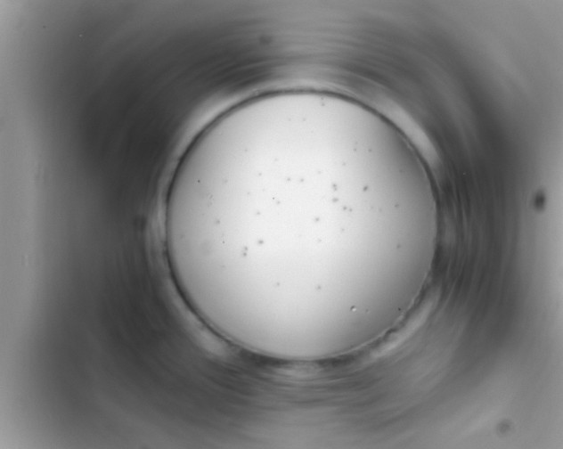X0000103311388200809191908