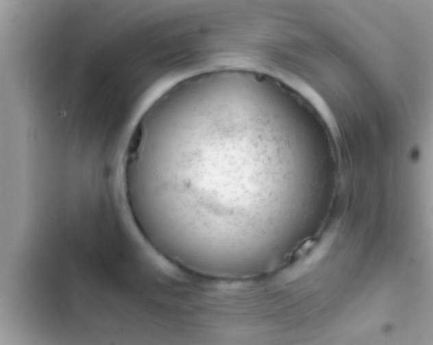 X0000103311389200809191908