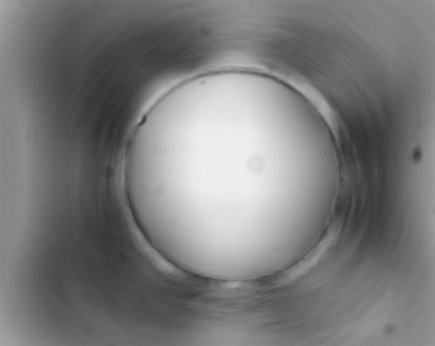 X0000103311390200809191908