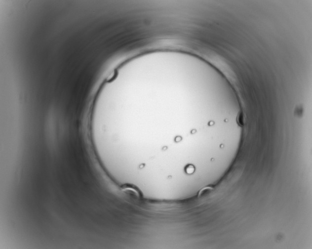 X0000103311392200809191908