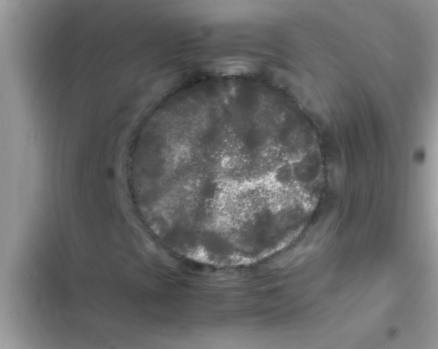 X0000103311393200809191907