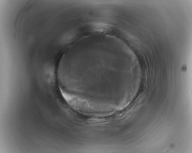 X0000103311394200809191907
