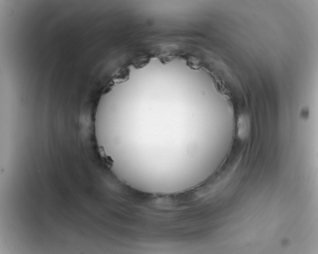X0000103311395200809191907
