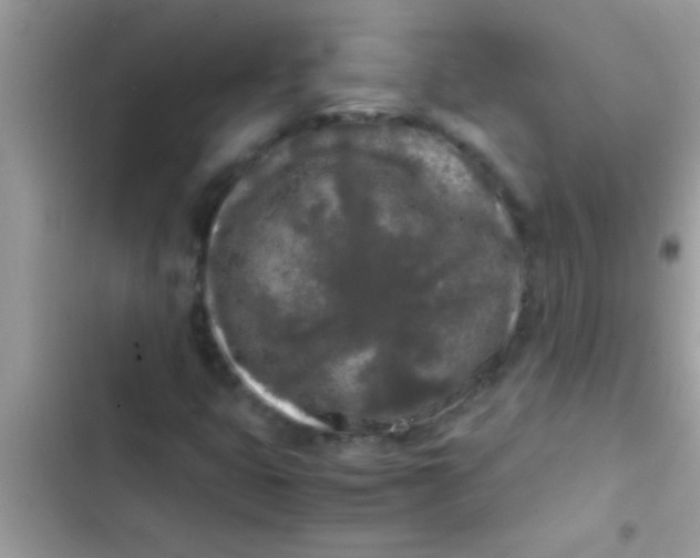 X0000103311399200809191907