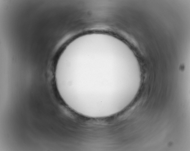 X0000103311400200809191907