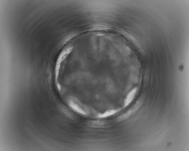 X0000103311401200809191907