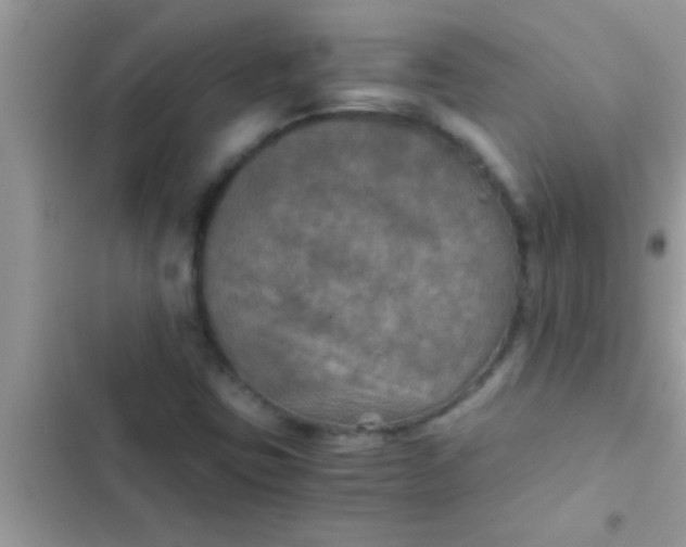 X0000103311403200809191907