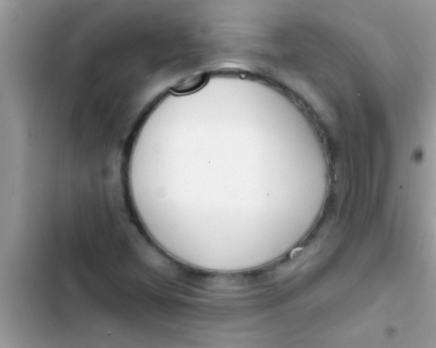 X0000103311404200809191907