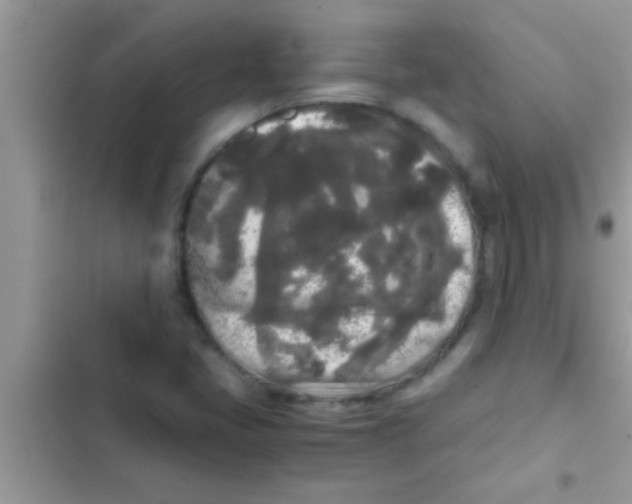 X0000103311405200809191907