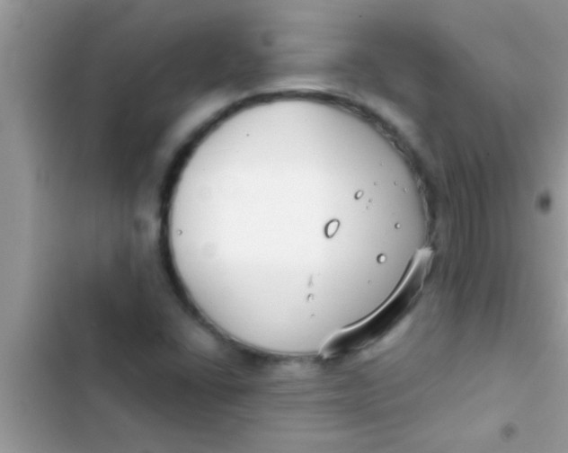 X0000103311406200809191907