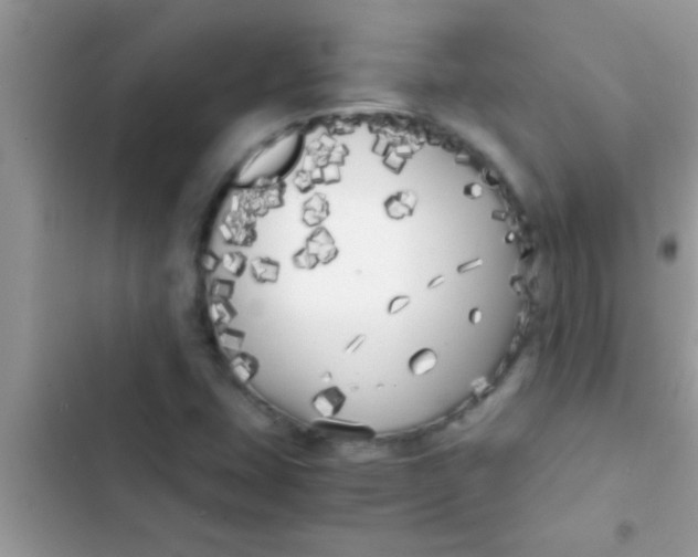 X0000103311407200809191907
