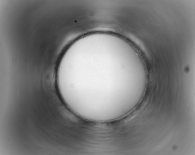 X0000103311408200809191908