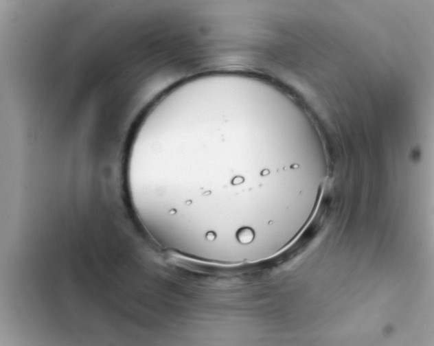 X0000103311410200809191908