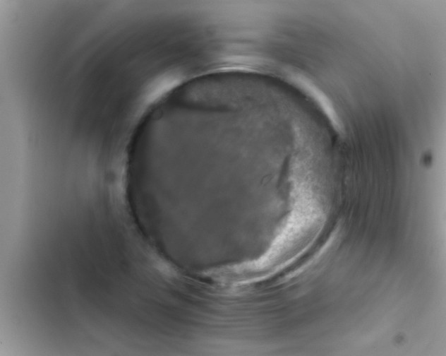 X0000103311411200809191908