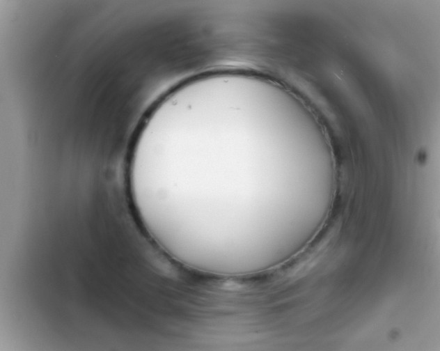 X0000103311412200809191908