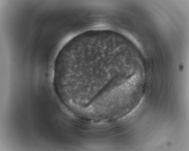 X0000103311413200809191908