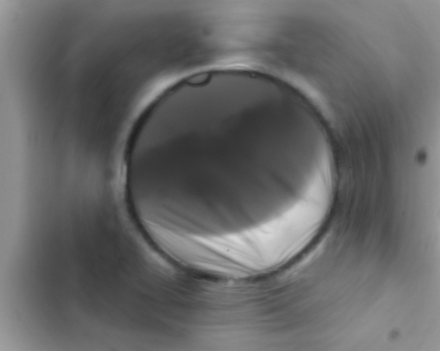 X0000103311414200809191908