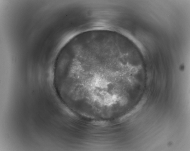 X0000103311415200809191908