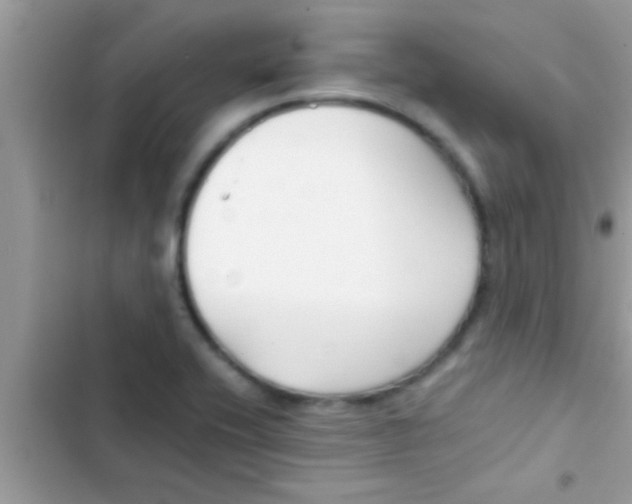 X0000103311416200809191908