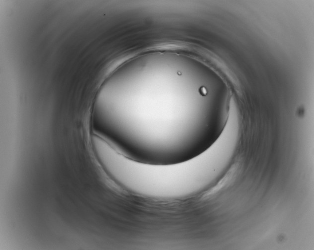 X0000103311417200809191908