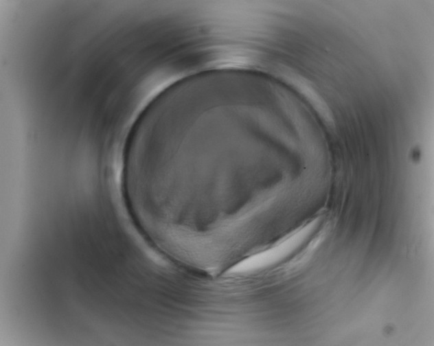X0000103311418200809191908
