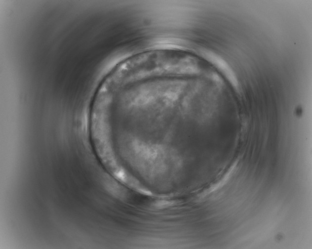 X0000103311419200809191908