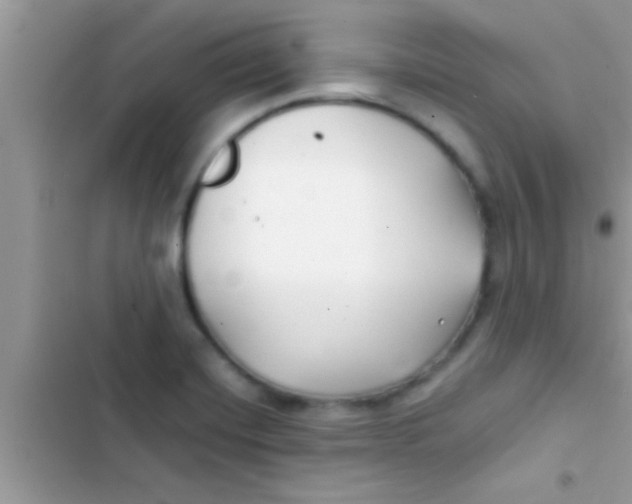 X0000103311420200809191908