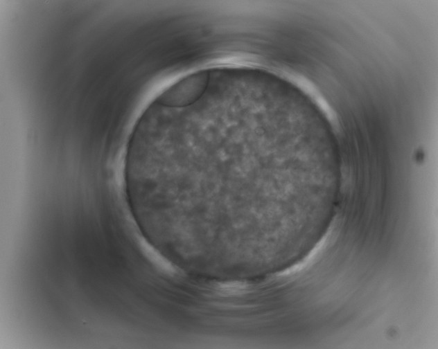 X0000103311421200809191908