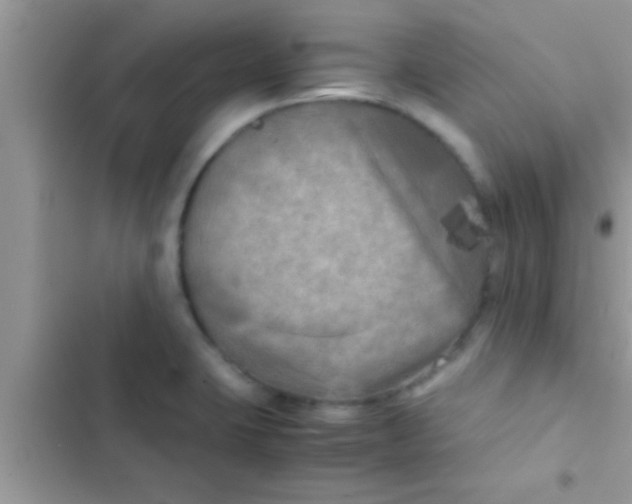 X0000103311423200809191908