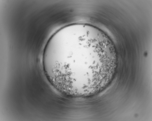 X0000103311424200809191908
