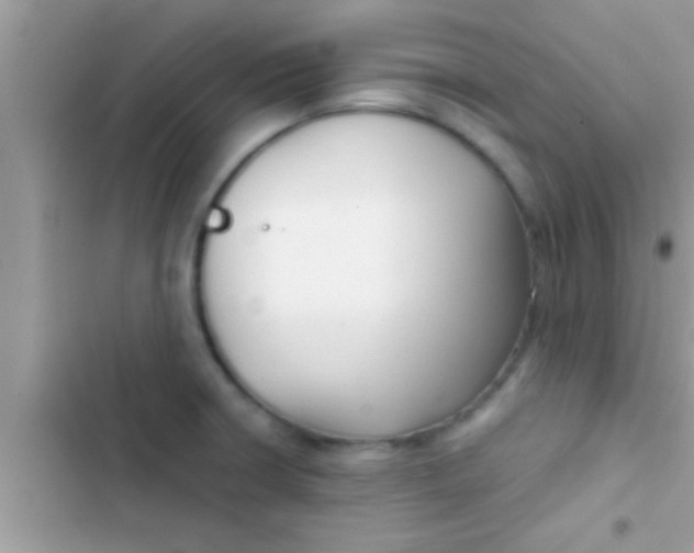 X0000103311426200809191908