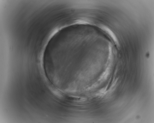 X0000103311427200809191908