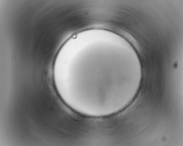X0000103311428200809191908