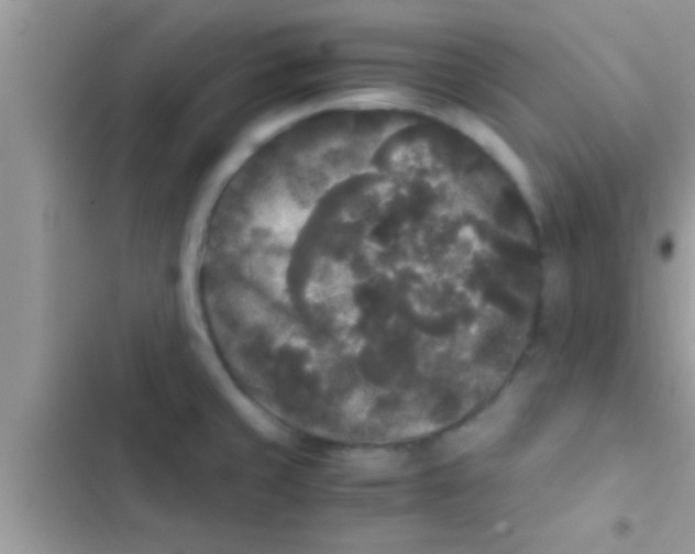 X0000103311429200809191908