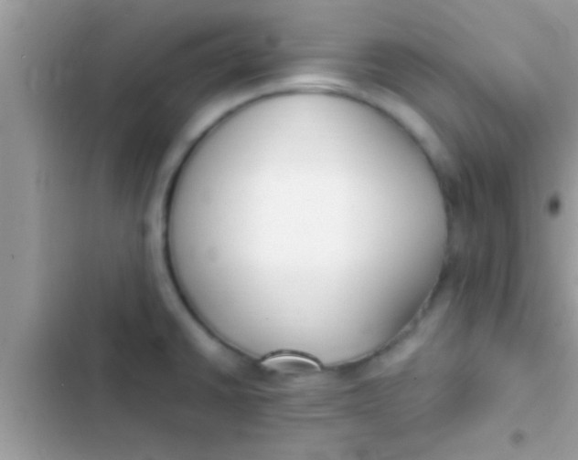 X0000103311430200809191908