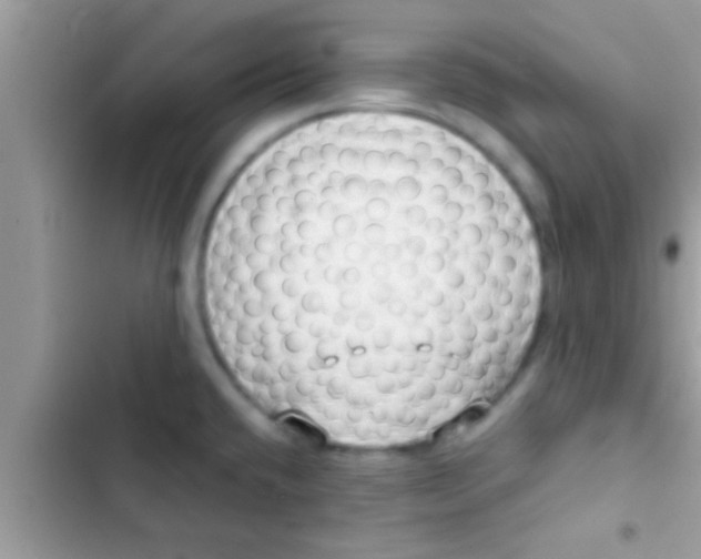 X0000103311432200809191908