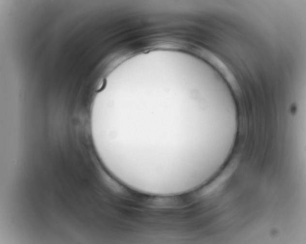 X0000103311433200809191908