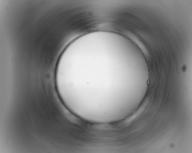 X0000103311434200809191908
