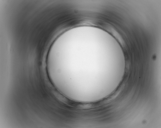 X0000103311435200809191908