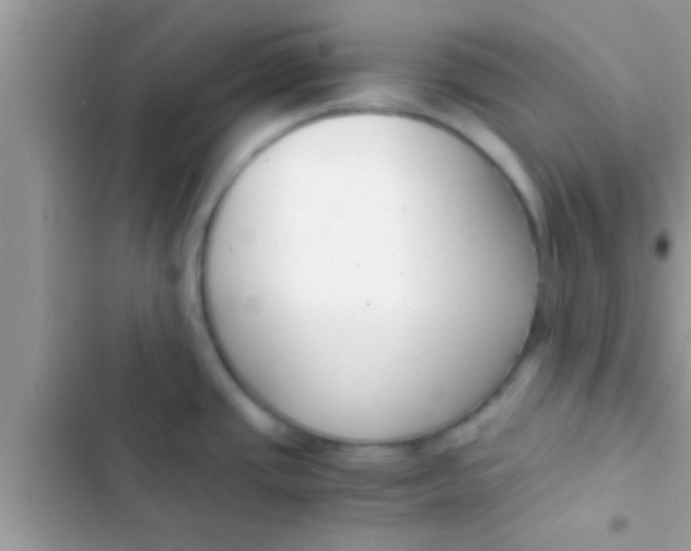X0000103311437200809191908