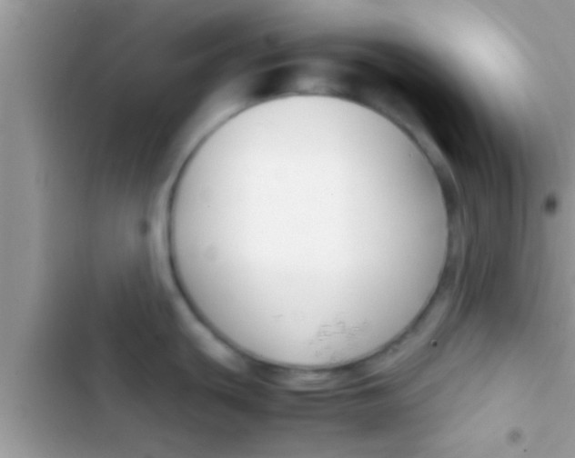 X0000103311439200809191908
