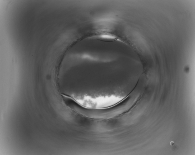 X0000103311441200809191907