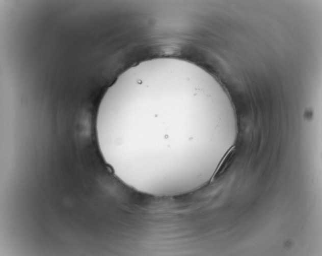 X0000103311442200809191907