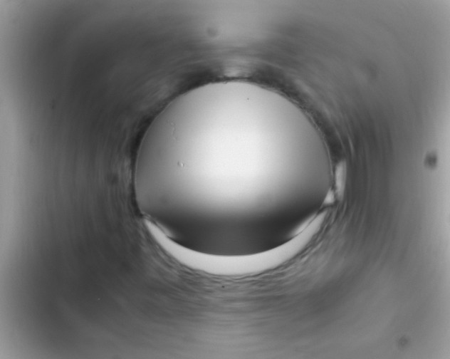 X0000103311443200809191907