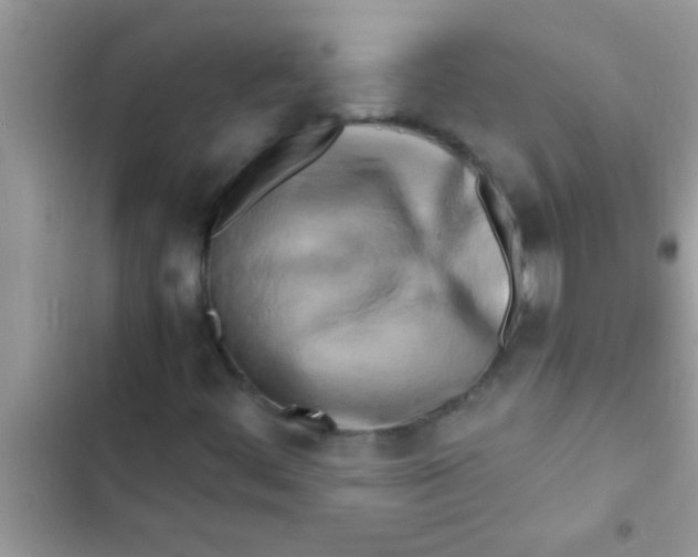 X0000103311444200809191907